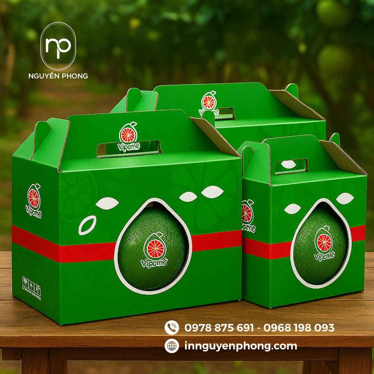 Mẫu in thùng carton đựng bưởi da xanh 